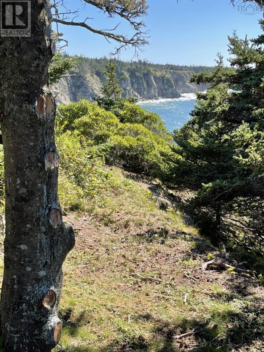 Lot 4b Pepperrell Road, Cape St Marys, Nova Scotia  B5A 5B4 - Photo 43 - 202512392