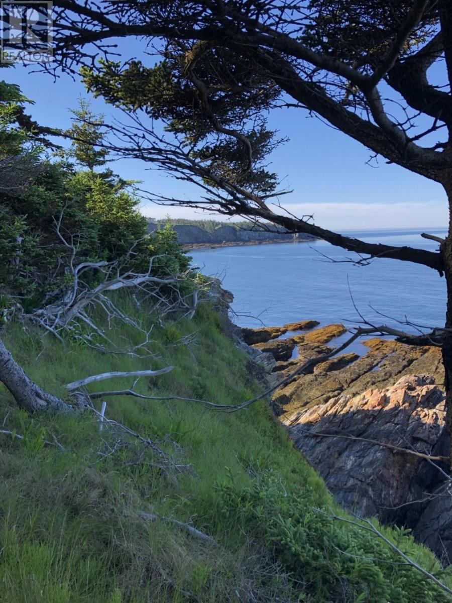 Lot 4a Pepperrell Road, Cape St Marys, Nova Scotia  B5A 5B4 - Photo 11 - 202512395