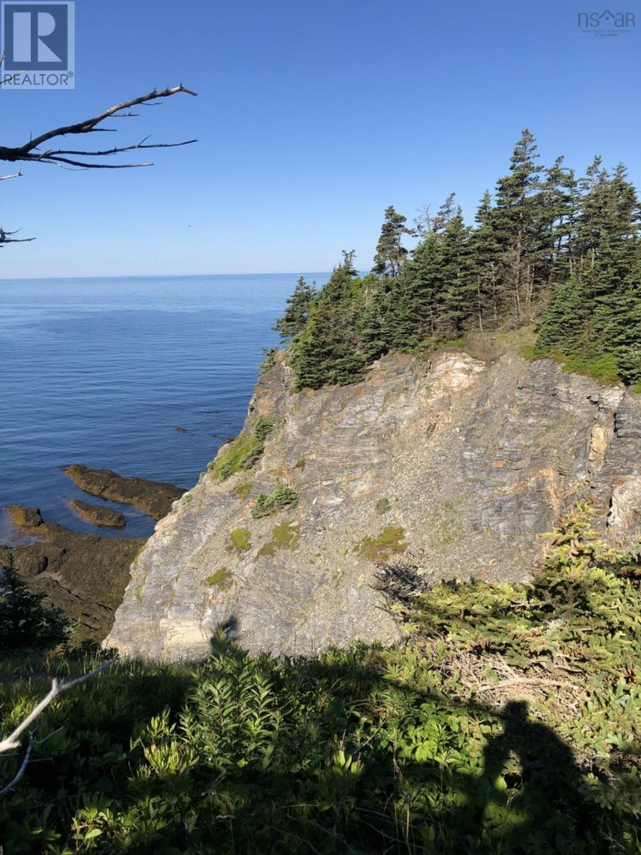 Lot 4a Pepperrell Road, Cape St Marys, Nova Scotia  B5A 5B4 - Photo 21 - 202512395