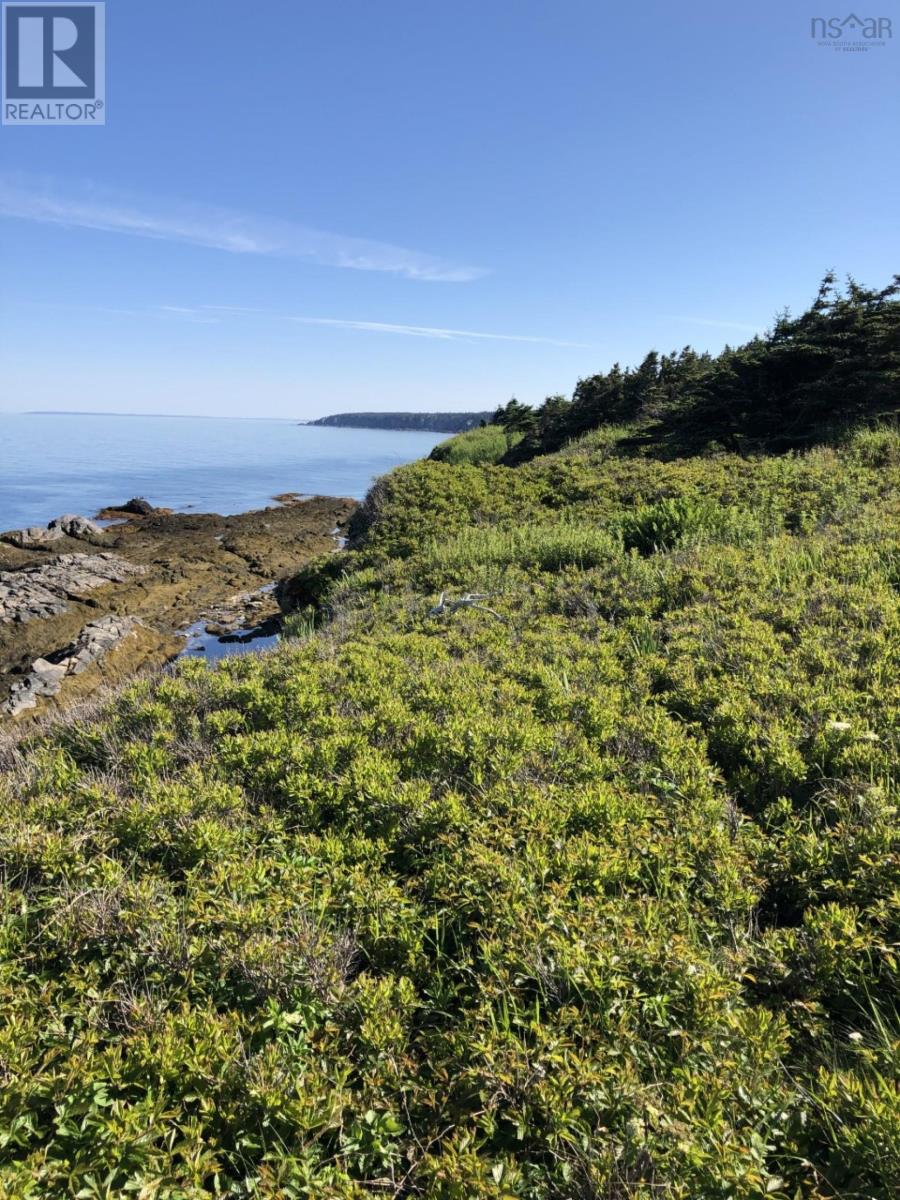 Lot 4a Pepperrell Road, Cape St Marys, Nova Scotia  B5A 5B4 - Photo 33 - 202512395