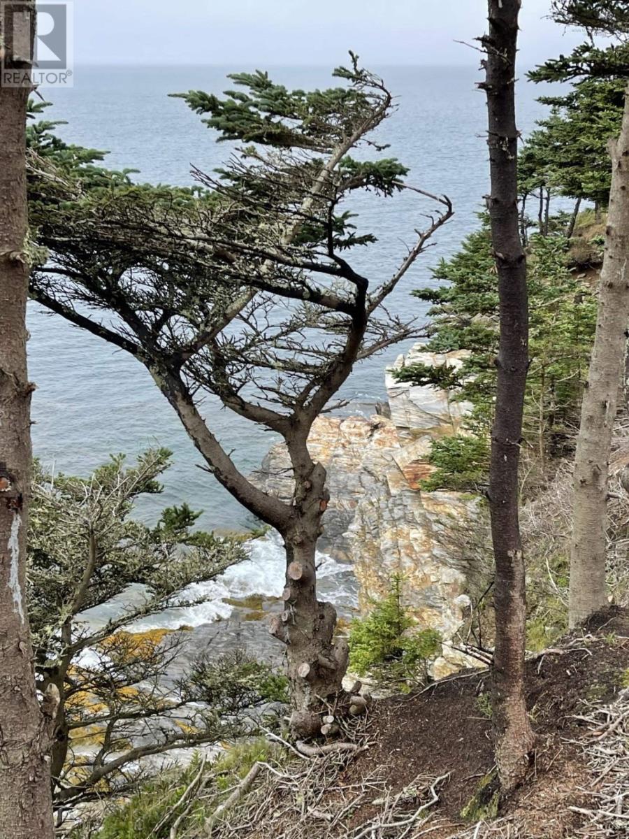 Lot 1a Pepperrell Road, Cape St Marys, Nova Scotia  B5A 5B4 - Photo 41 - 202512397