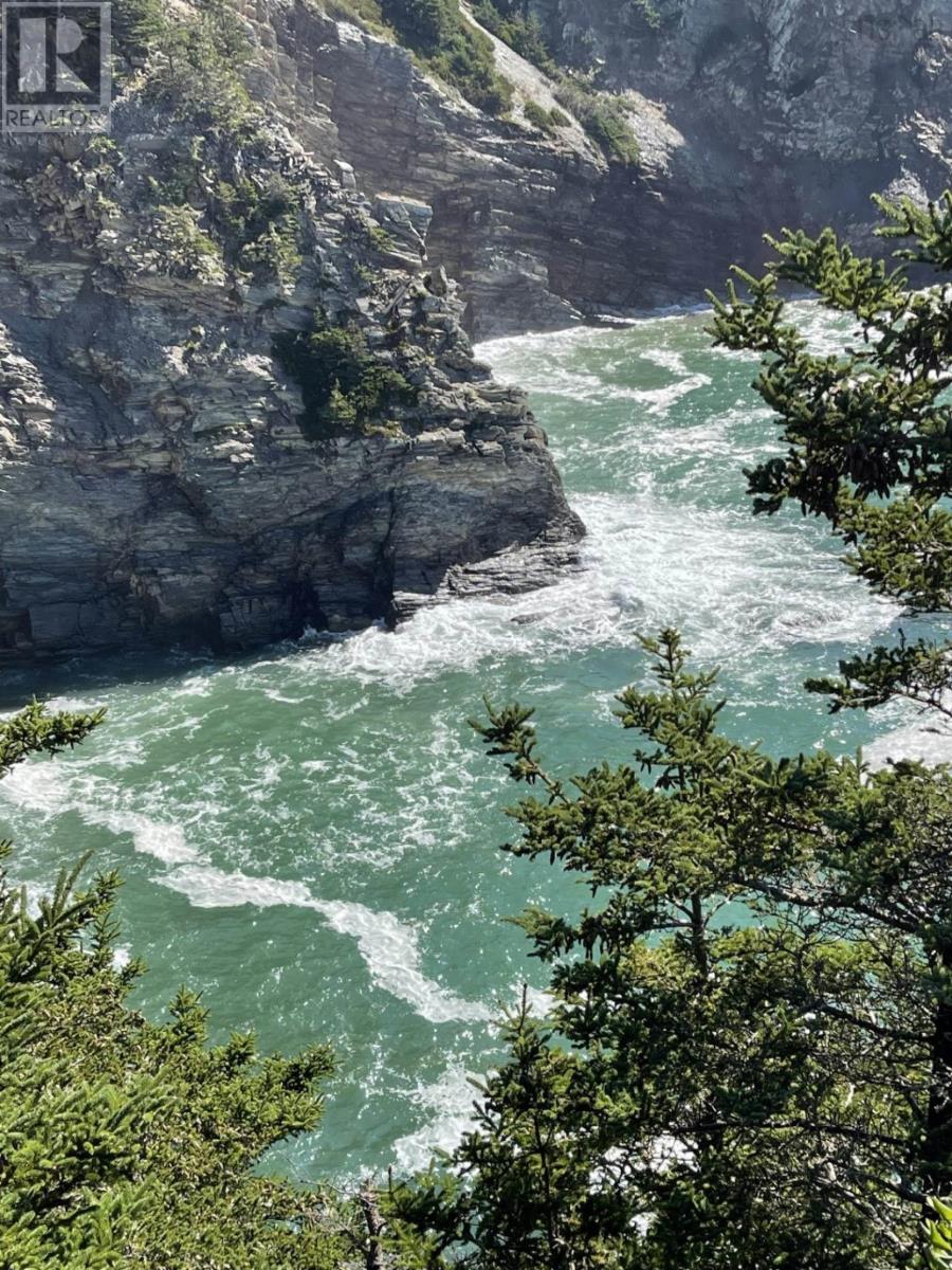 Lot 1a Pepperrell Road, Cape St Marys, Nova Scotia  B5A 5B4 - Photo 45 - 202512397