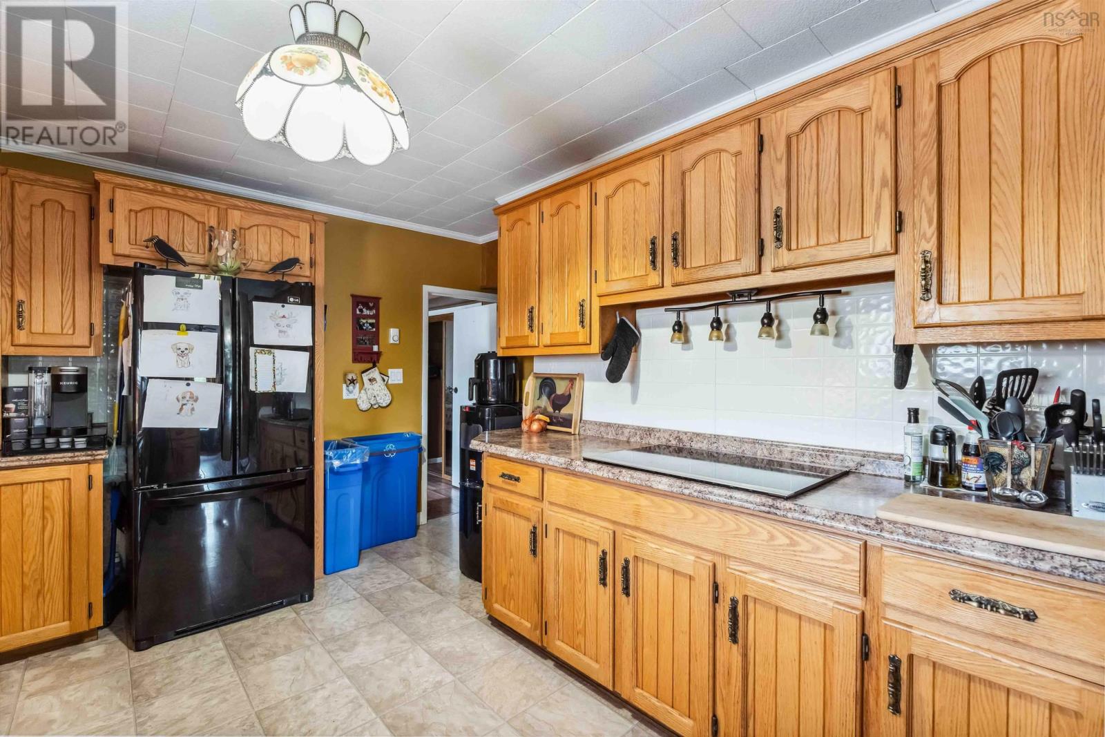 4706 Highway 340, Havelock, Nova Scotia  B0W 3T0 - Photo 13 - 202512406