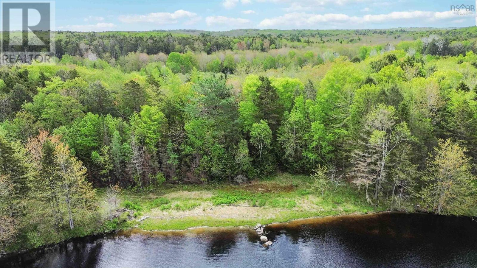 4706 Highway 340, Havelock, Nova Scotia  B0W 3T0 - Photo 47 - 202512406