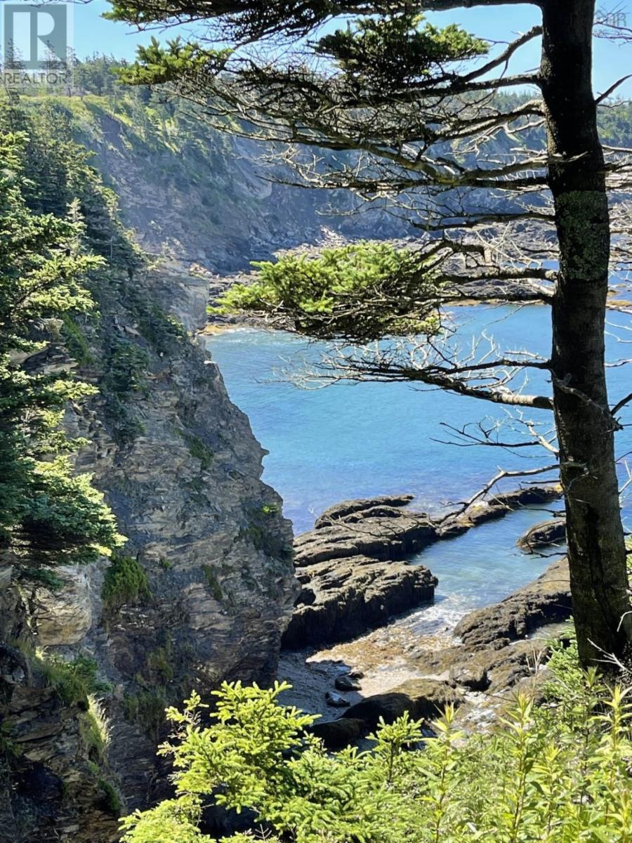 Lot 10cd-8 Pepperrell Road, Mavillette, Nova Scotia  B5A 5B4 - Photo 8 - 202512474