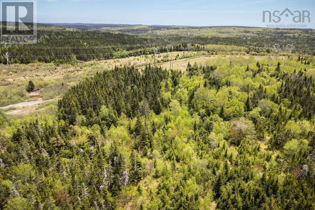 Soldiers Cove Road, Soldiers Cove, Nova Scotia  B0E 3B0 - Photo 16 - 202512722