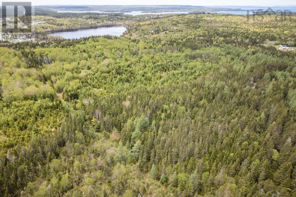 Soldiers Cove Road, Soldiers Cove, Nova Scotia  B0E 3B0 - Photo 9 - 202512722