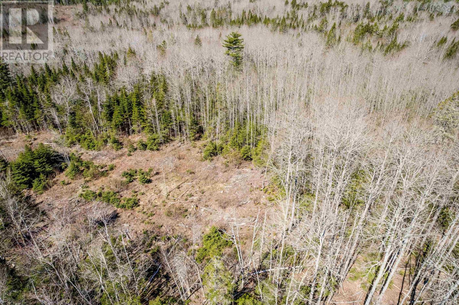 Lot A Aylesford Road, Lake Paul, Nova Scotia  B0P 1C0 - Photo 13 - 202512766