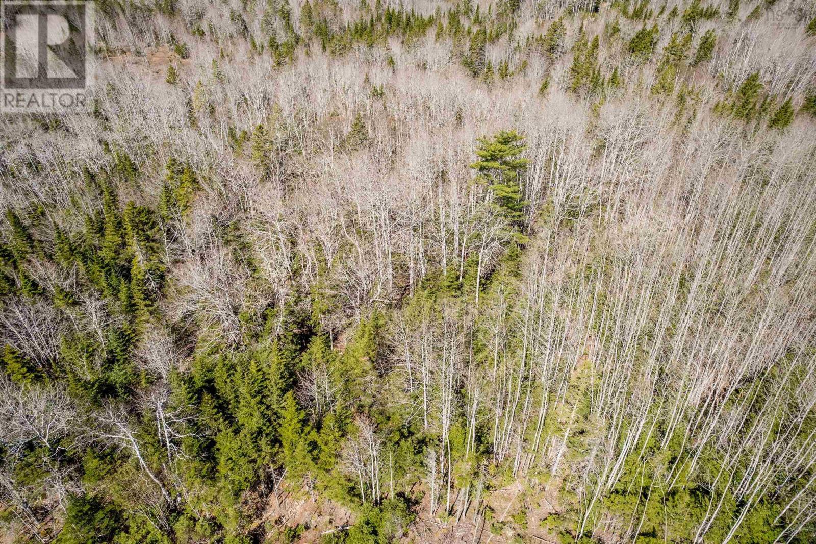 Lot A Aylesford Road, Lake Paul, Nova Scotia  B0P 1C0 - Photo 17 - 202512766