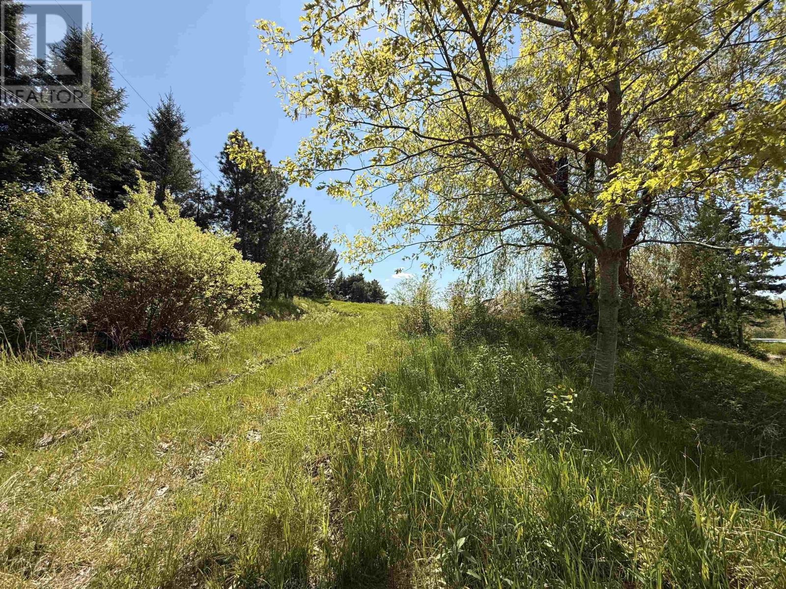 216 West Brooklyn Mountain, West Brooklyn, Nova Scotia  B4P 2R3 - Photo 3 - 202512806