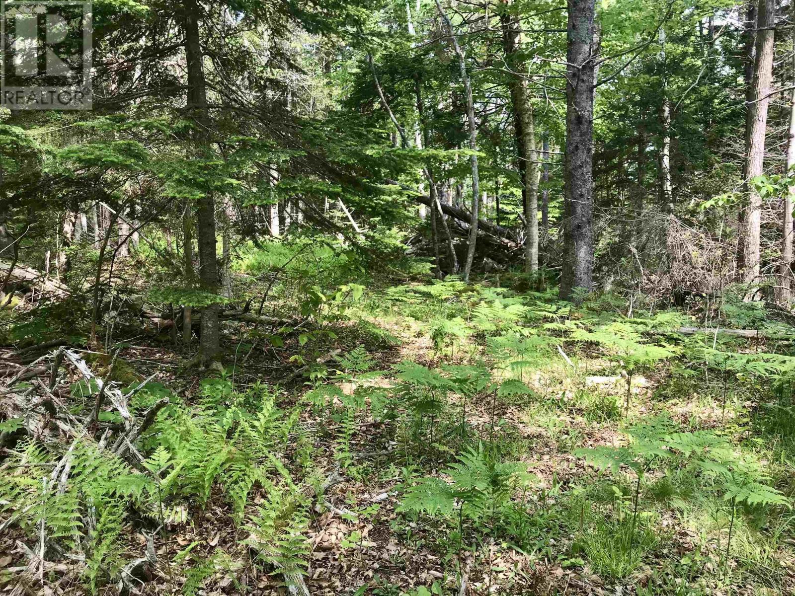 2 Acres Weymouth Falls Road, Weymouth Falls, Nova Scotia  B0W 3T0 - Photo 13 - 202512826