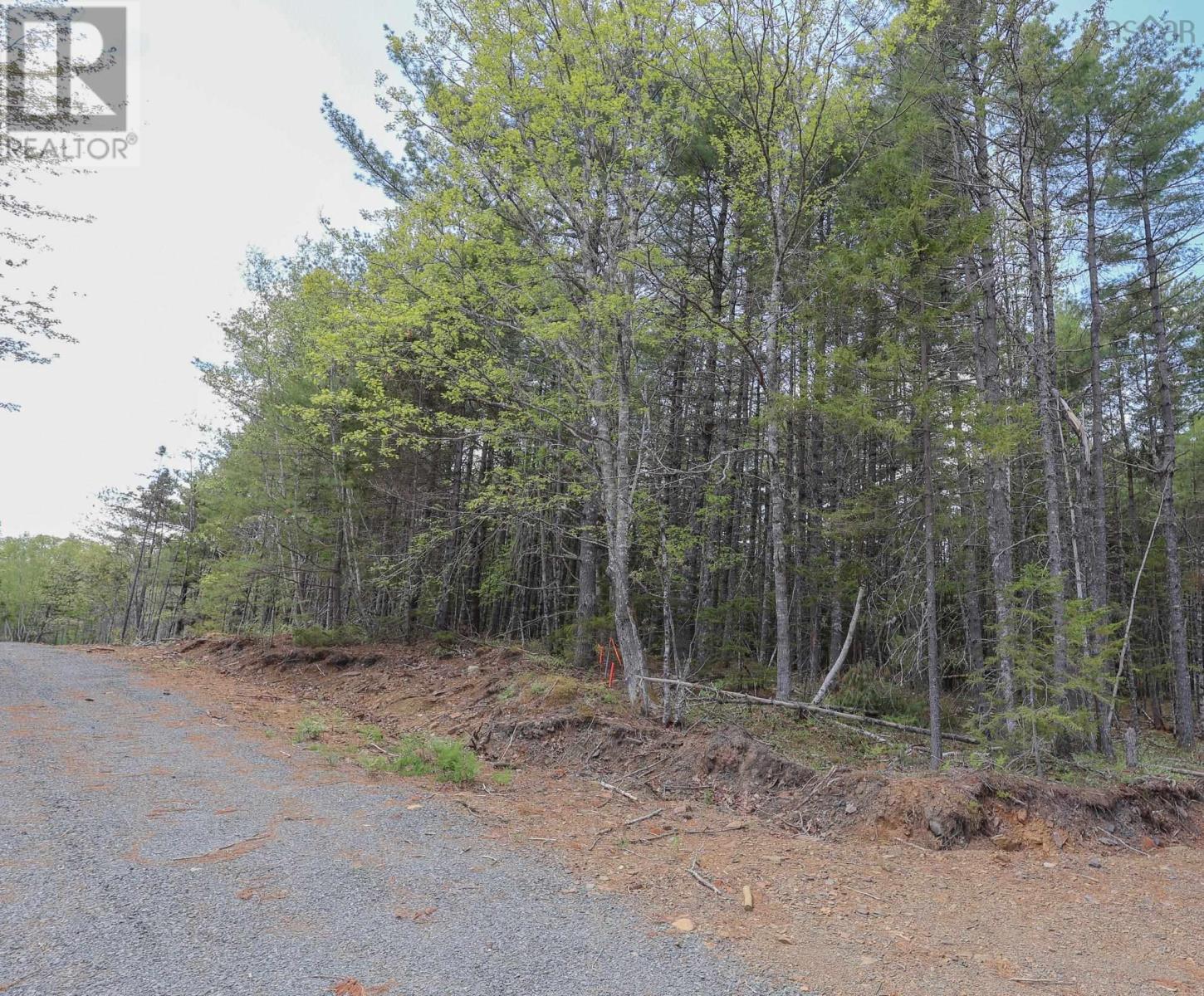 Lot 101 Cleversey Ridge Park, Fauxburg, Nova Scotia  B0J 2C0 - Photo 7 - 202512848