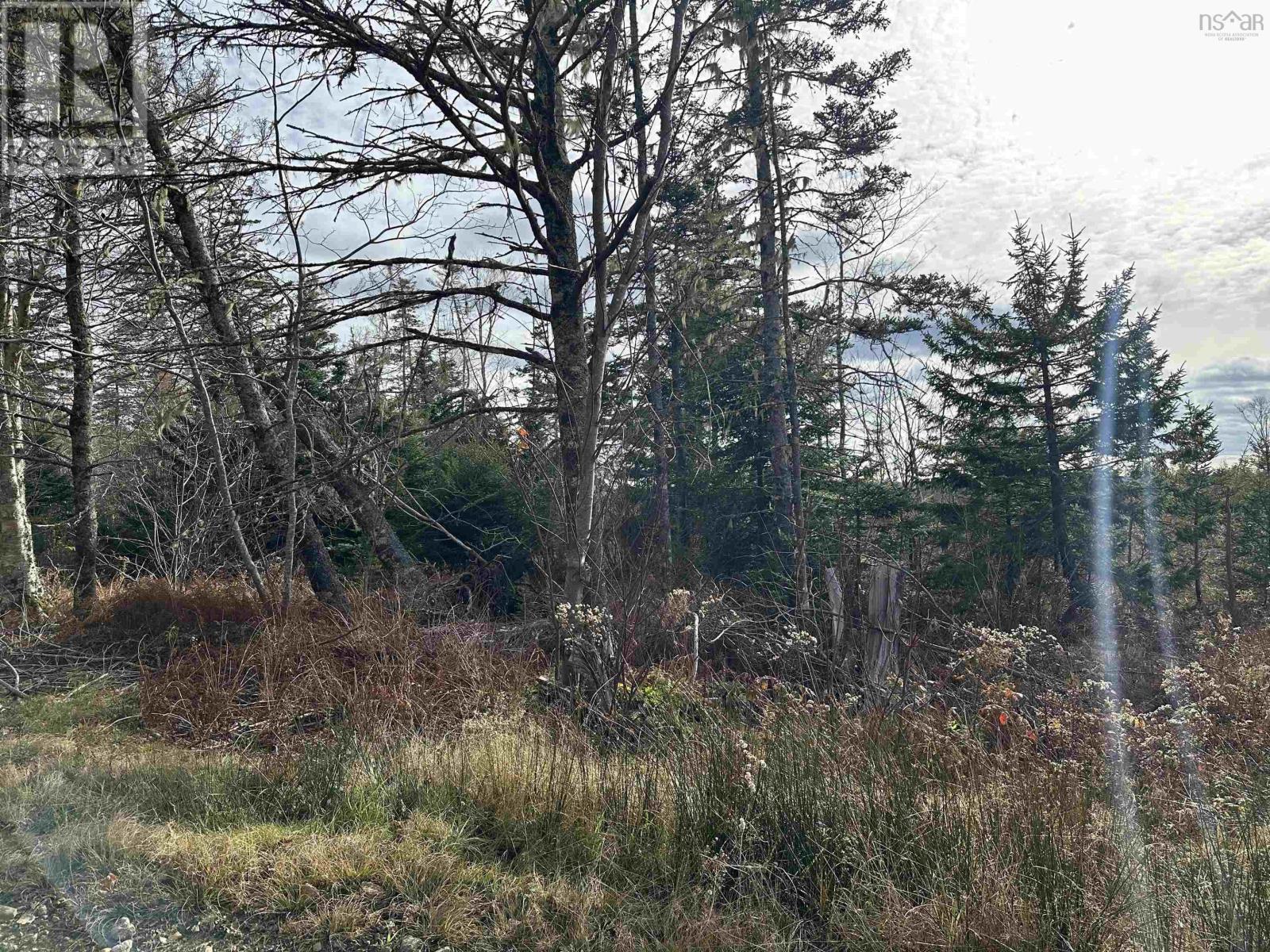 Lot Small Gains Road, Yarmouth, Nova Scotia  B0W 1B0 - Photo 10 - 202512943