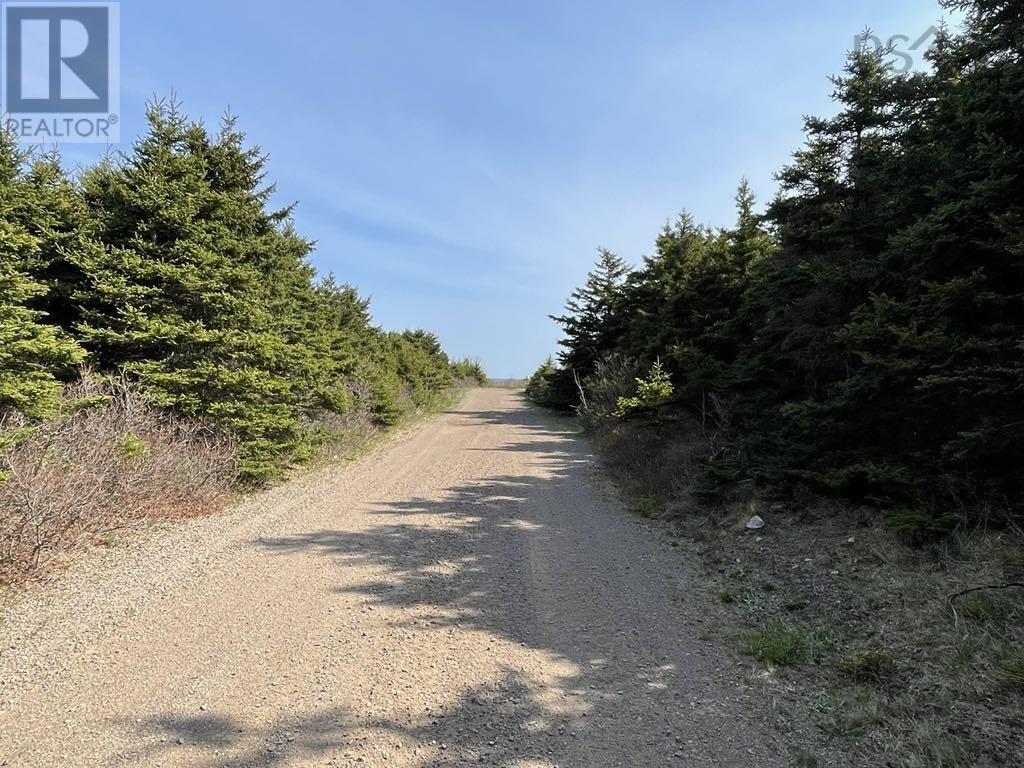 99 Pleasant Bay Loop, Pleasant Bay, Nova Scotia  B0E 2P0 - Photo 8 - 202513009