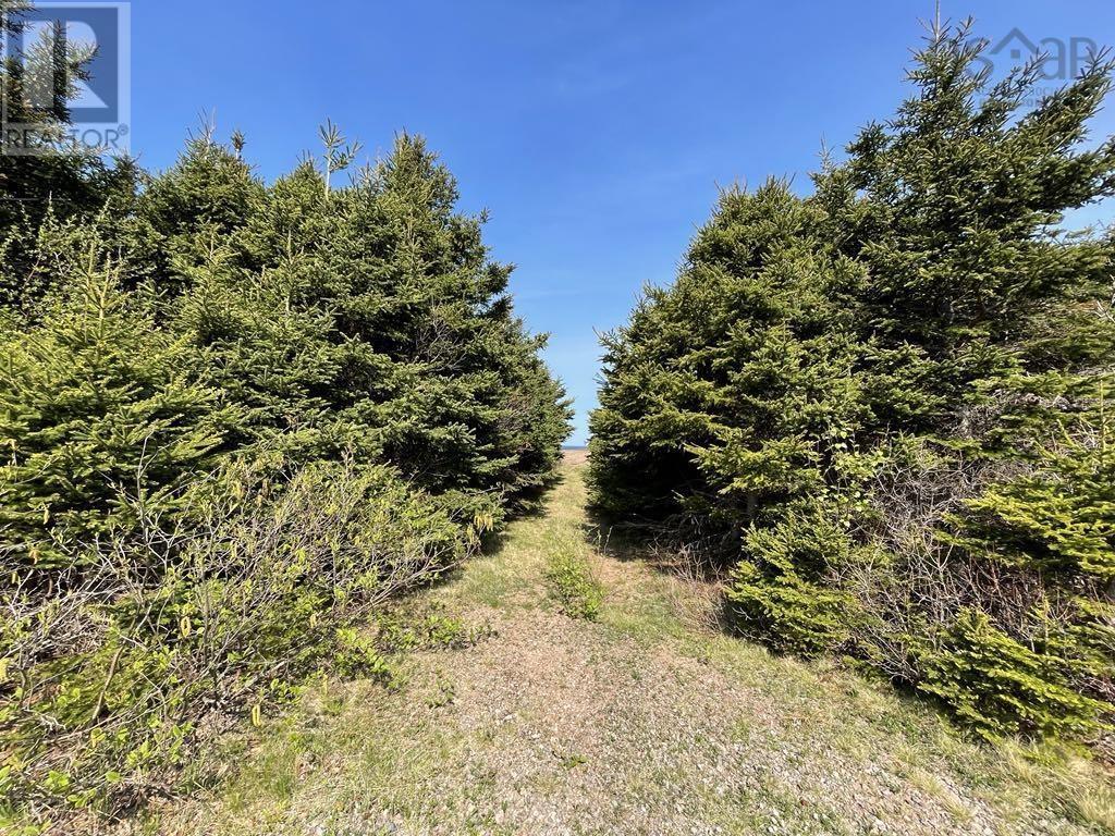 99 Pleasant Bay Loop, Pleasant Bay, Nova Scotia  B0E 1H0 - Photo 10 - 202513017