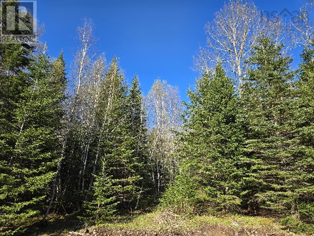 Lot 23-3 Chesley Road, Barss Corner, Nova Scotia  B0R 1E0 - Photo 11 - 202513069
