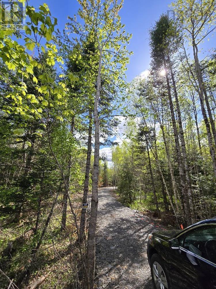 Lot 23-3 Chesley Road, Barss Corner, Nova Scotia  B0R 1E0 - Photo 9 - 202513069