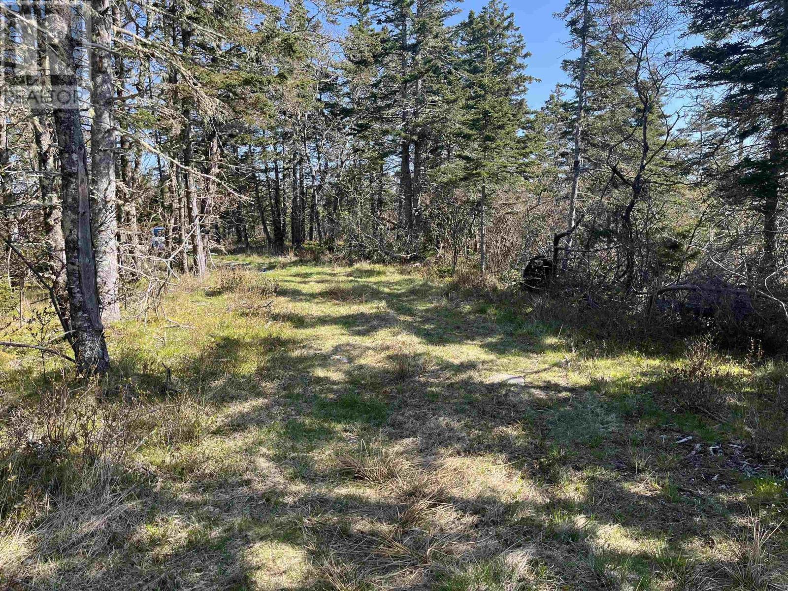 2685 Port La Tour Road, Upper Port La Tour, Nova Scotia  B0W 2T0 - Photo 31 - 202513074