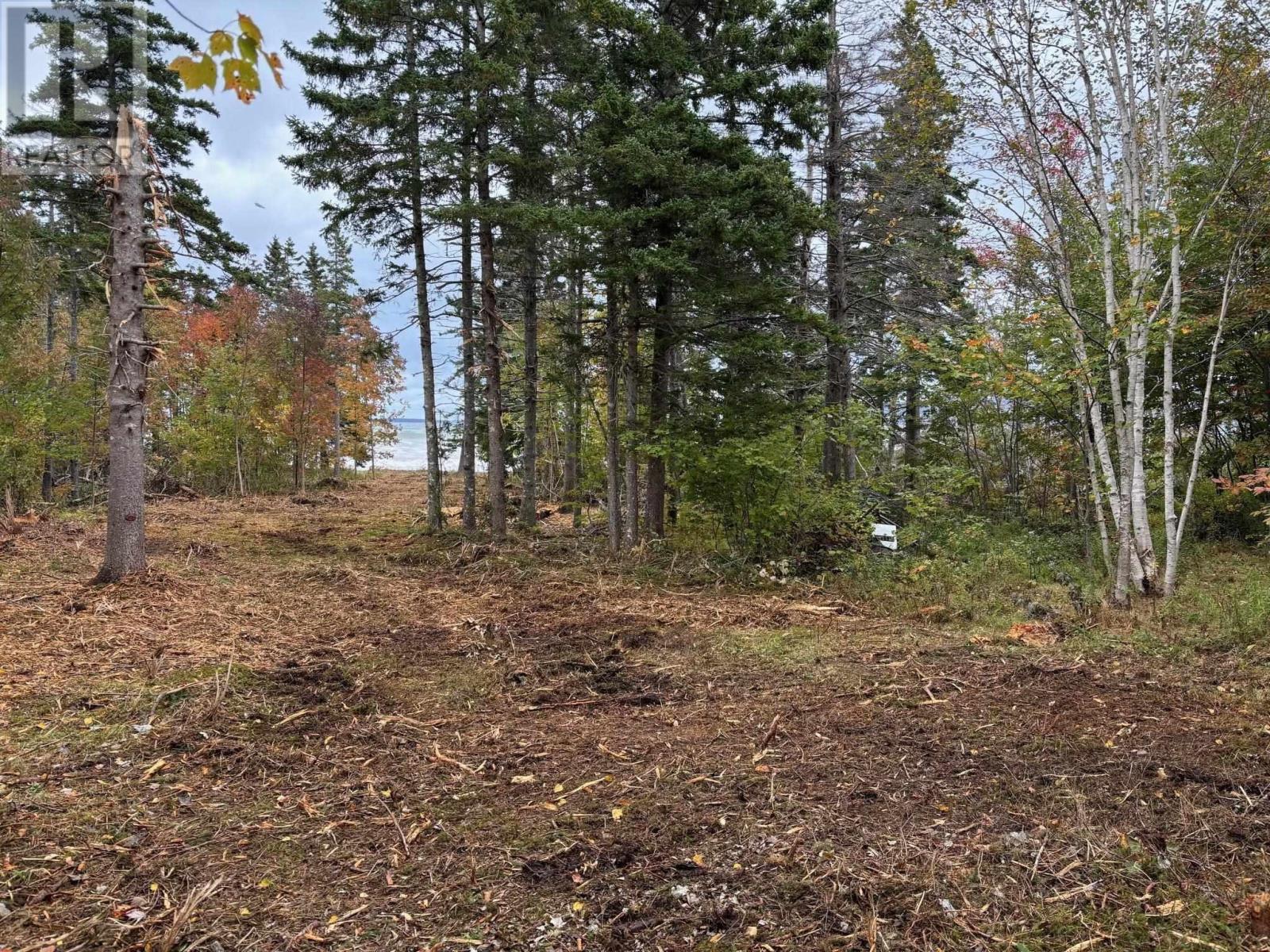 Lot 2-24 Cabot Trail, Indian Brook, Nova Scotia  B0C 1H0 - Photo 21 - 202513159