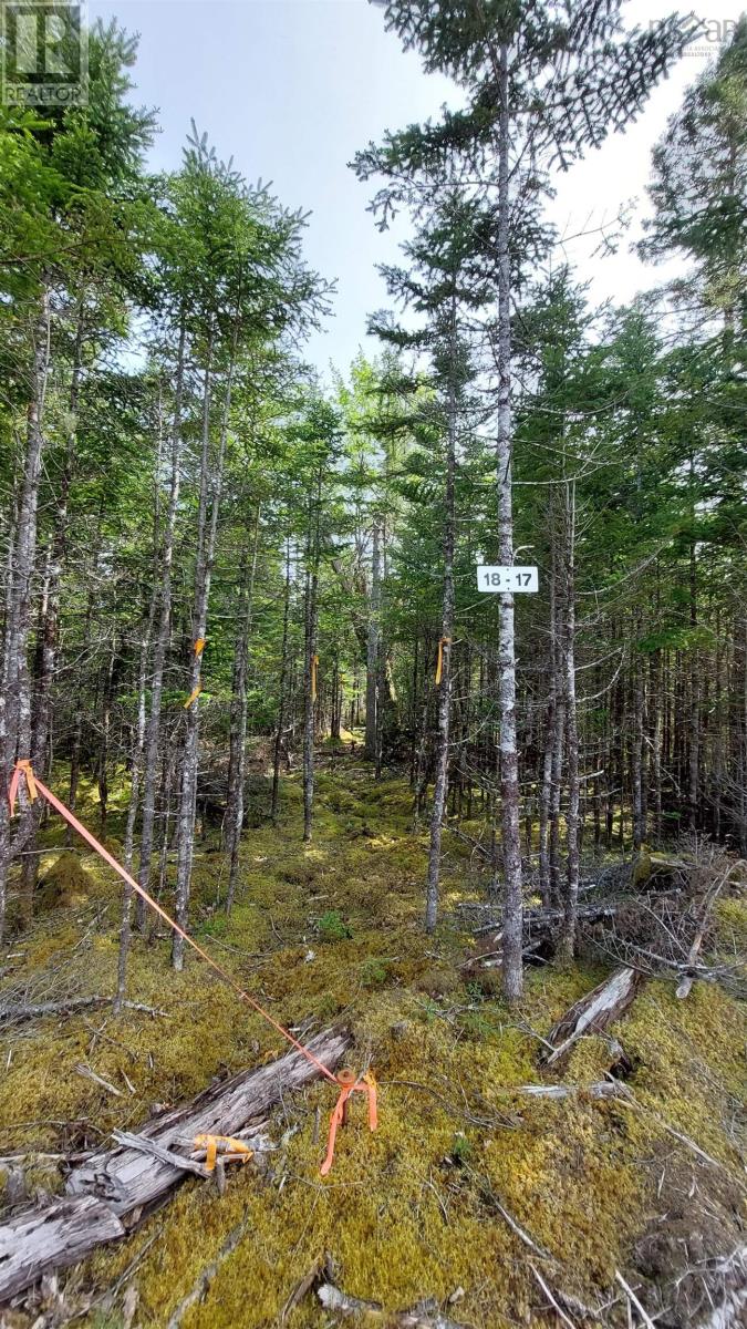 Lot 18 Highway 4, False Bay, Nova Scotia  B0E 1V0 - Photo 17 - 202513205