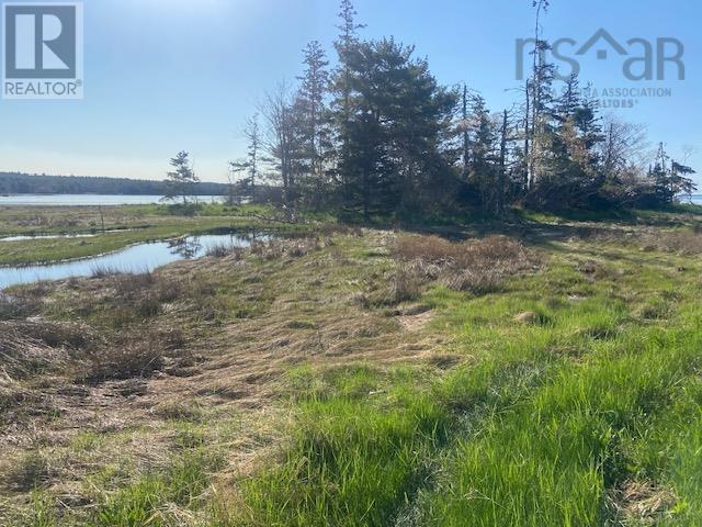 Lot Browns Lane, Birchtown, Nova Scotia  B0T 1W0 - Photo 3 - 202513231