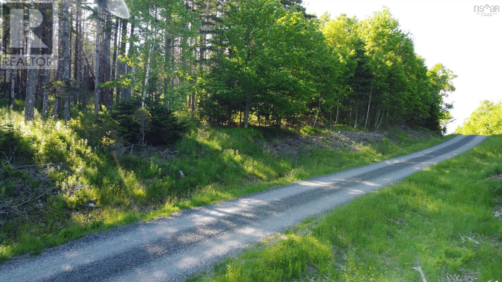 Lot 04-12 Nature Dream P Boulevard, Roberta, Nova Scotia  B0E 3B0 - Photo 2 - 202513259