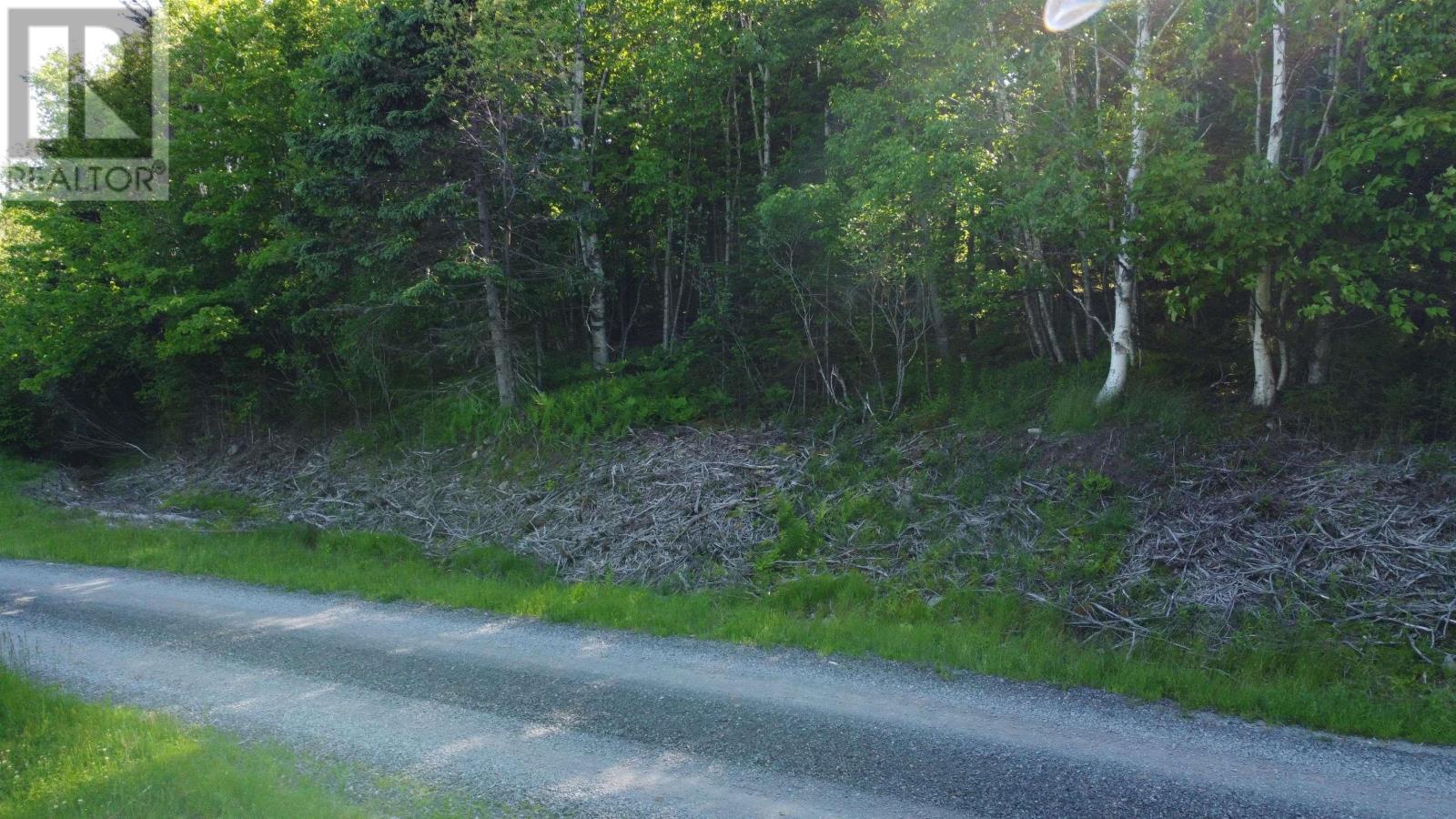 Lot 04-12 Nature Dream P Boulevard, Roberta, Nova Scotia  B0E 3B0 - Photo 4 - 202513259