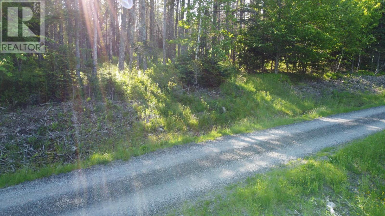 Lot 04-12 Nature Dream P Boulevard, Roberta, Nova Scotia  B0E 3B0 - Photo 5 - 202513259