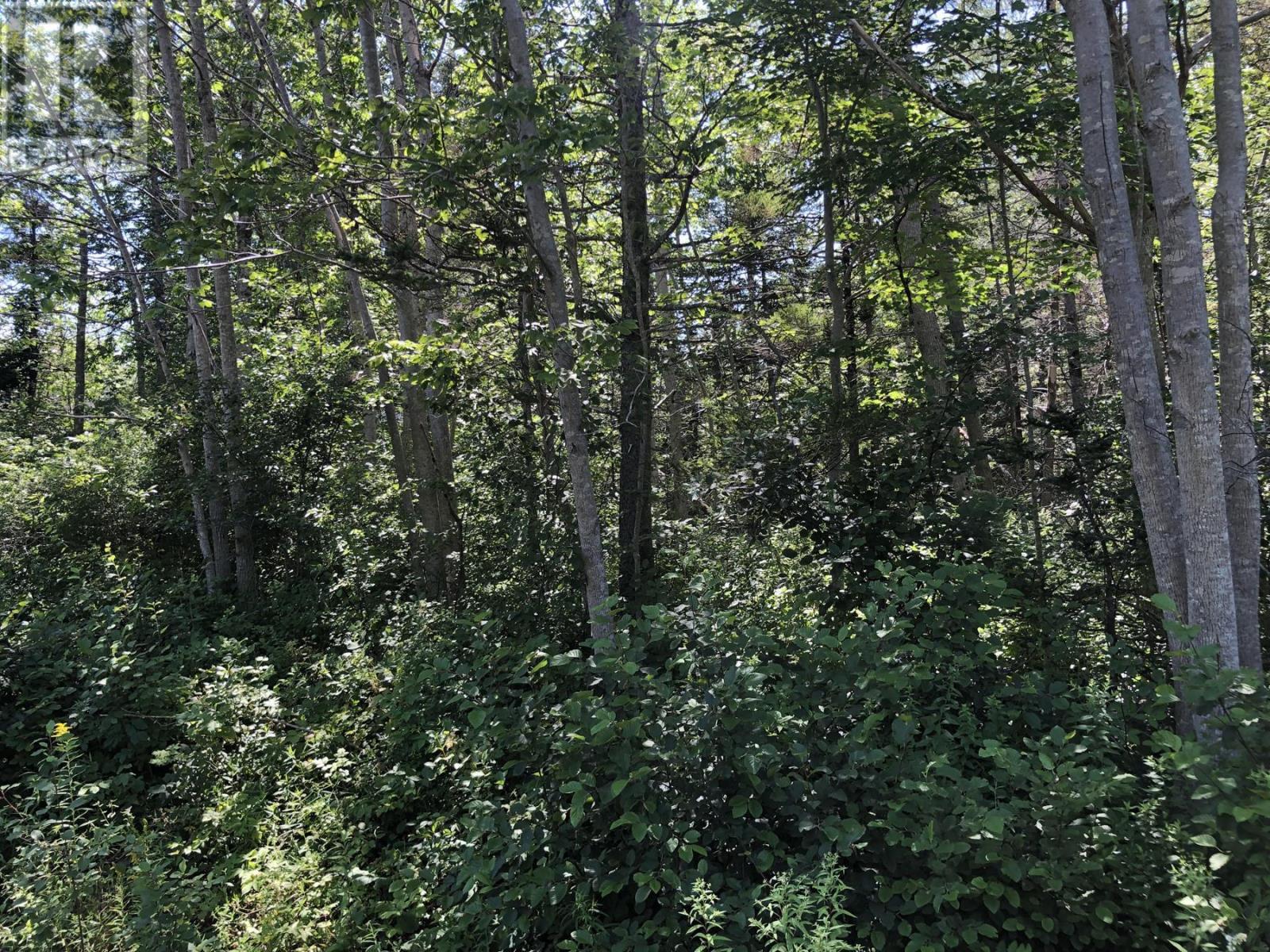 Lot Lighthouse Road, Bay View, Nova Scotia  B0V 1A0 - Photo 5 - 202513270