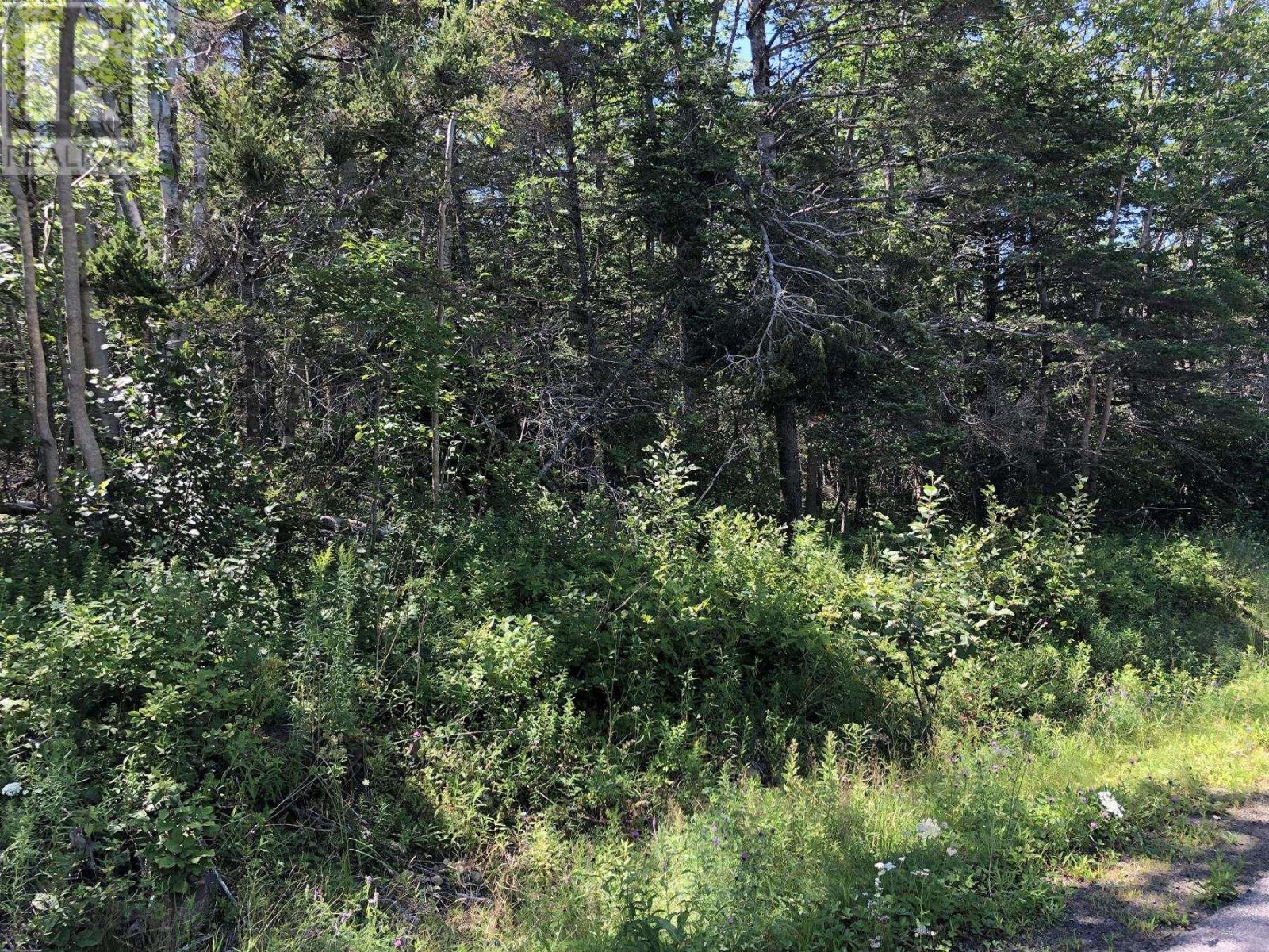 Lot Lighthouse Road, Bay View, Nova Scotia  B0V 1A0 - Photo 9 - 202513270