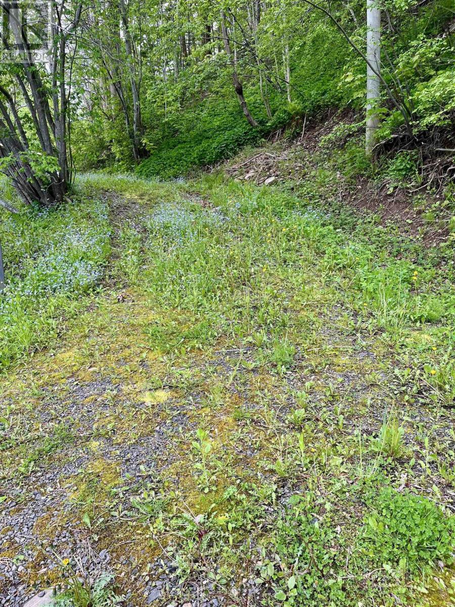 1252 River Road, Bear River, Nova Scotia  B0S 1G0 - Photo 49 - 202513282