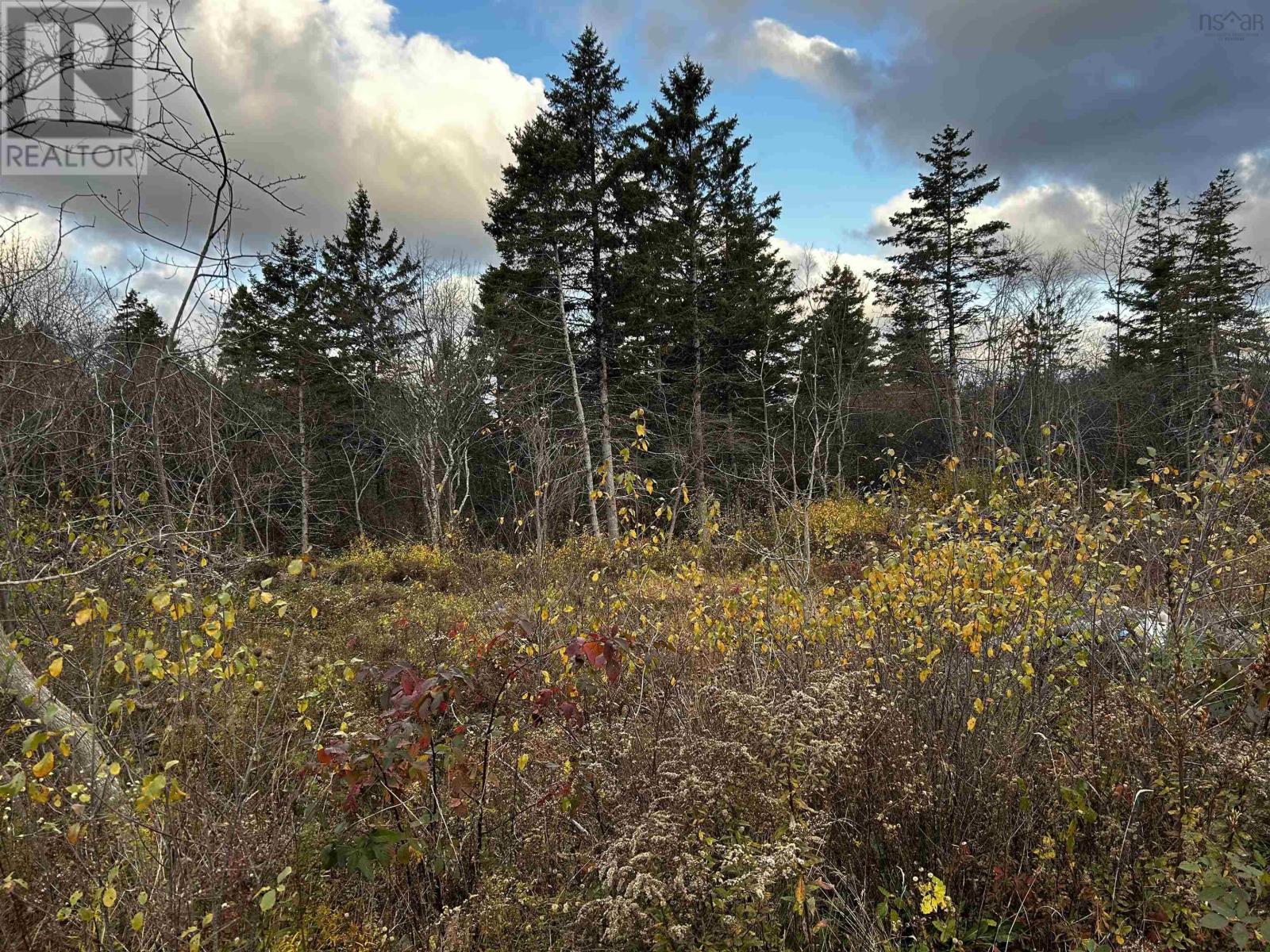 381 Marshalltown Road, Marshalltown, Nova Scotia  B0V 1A0 - Photo 10 - 202513285