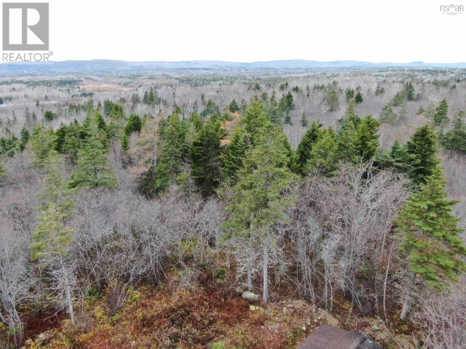 381 Marshalltown Road, Marshalltown, Nova Scotia  B0V 1A0 - Photo 14 - 202513285