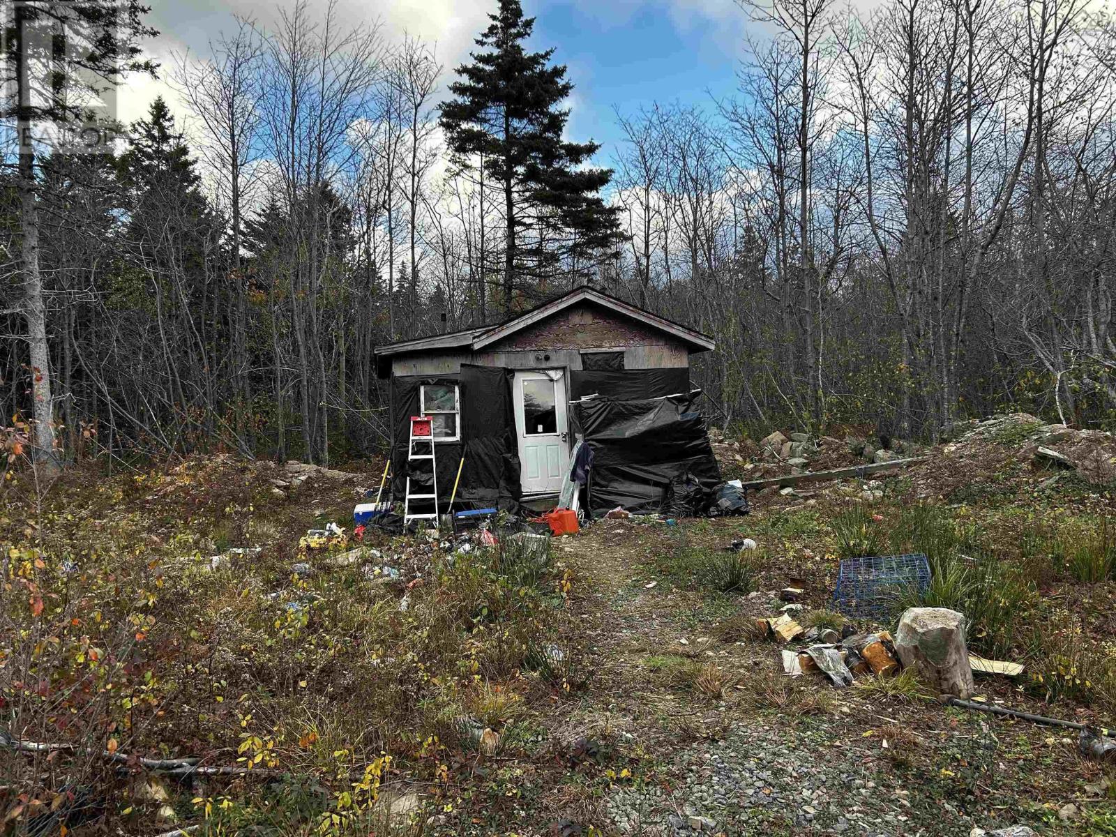 381 Marshalltown Road, Marshalltown, Nova Scotia  B0V 1A0 - Photo 4 - 202513285