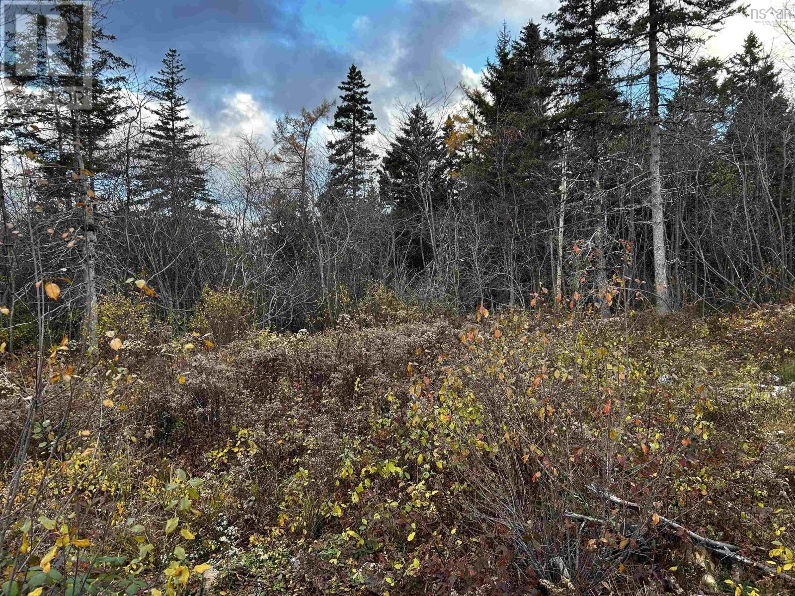 381 Marshalltown Road, Marshalltown, Nova Scotia  B0V 1A0 - Photo 5 - 202513285