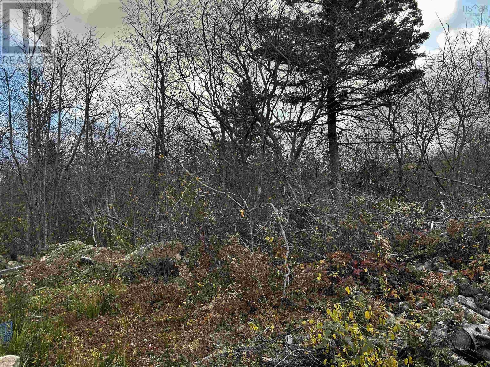 381 Marshalltown Road, Marshalltown, Nova Scotia  B0V 1A0 - Photo 7 - 202513285