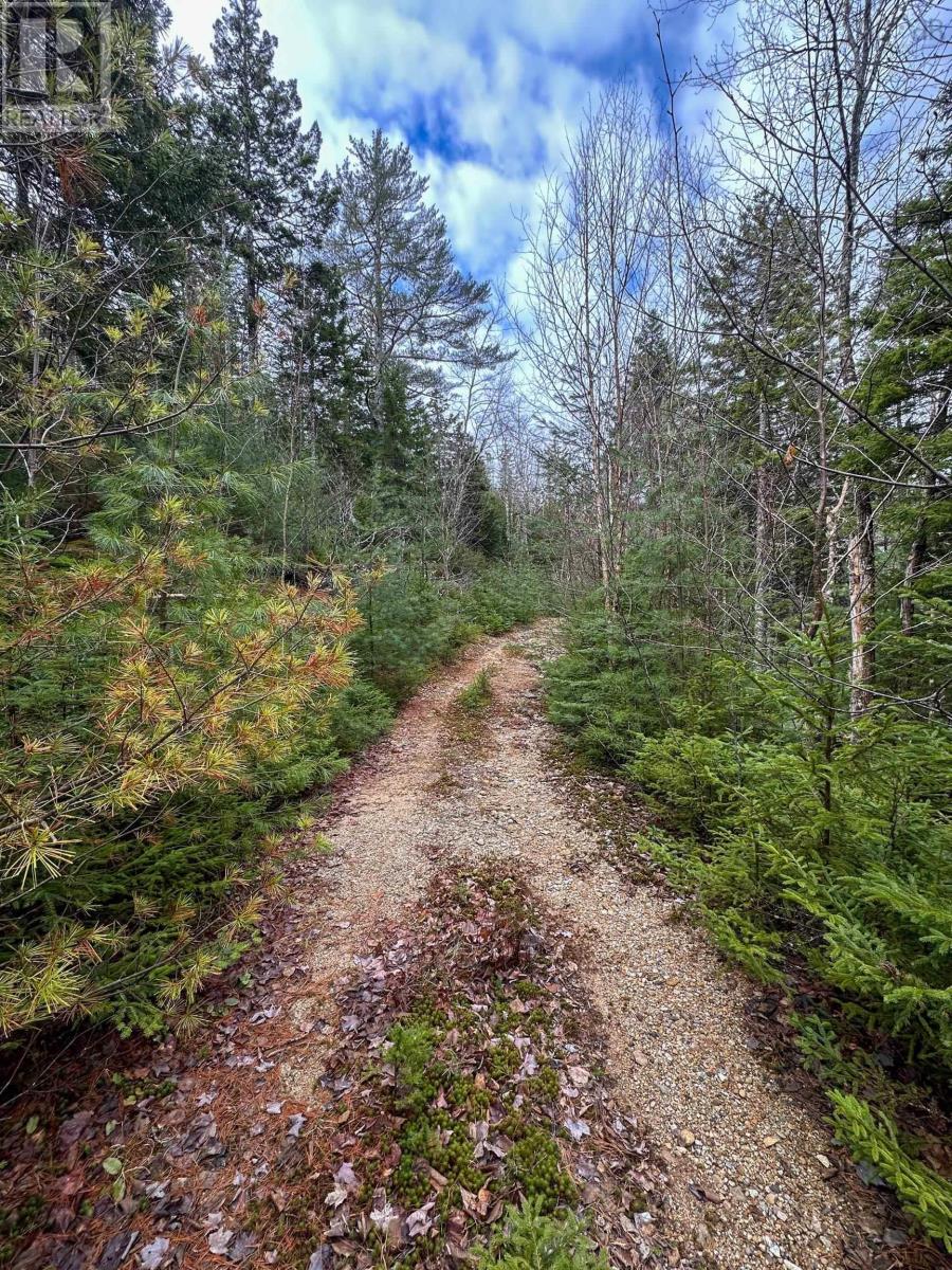 Parcel Rl-1 329 Highway, Deep Cove, Nova Scotia  B0J 1T0 - Photo 24 - 202513338