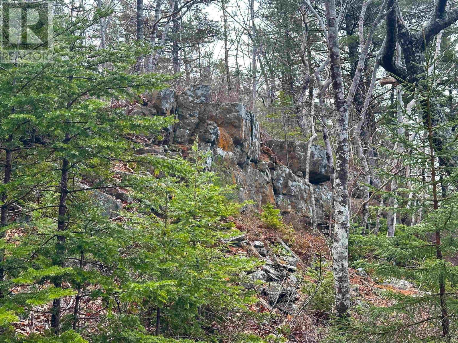 Parcel Rl-1 329 Highway, Deep Cove, Nova Scotia  B0J 1T0 - Photo 26 - 202513338