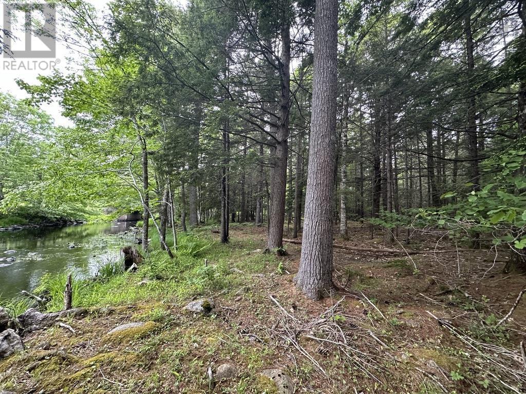 Lot 1 Wentzell Road, Baker Settlement, Nova Scotia  B4V 7J4 - Photo 10 - 202513367