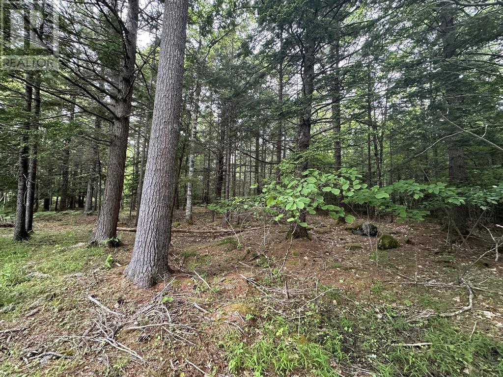Lot 1 Wentzell Road, Baker Settlement, Nova Scotia  B4V 7J4 - Photo 12 - 202513367