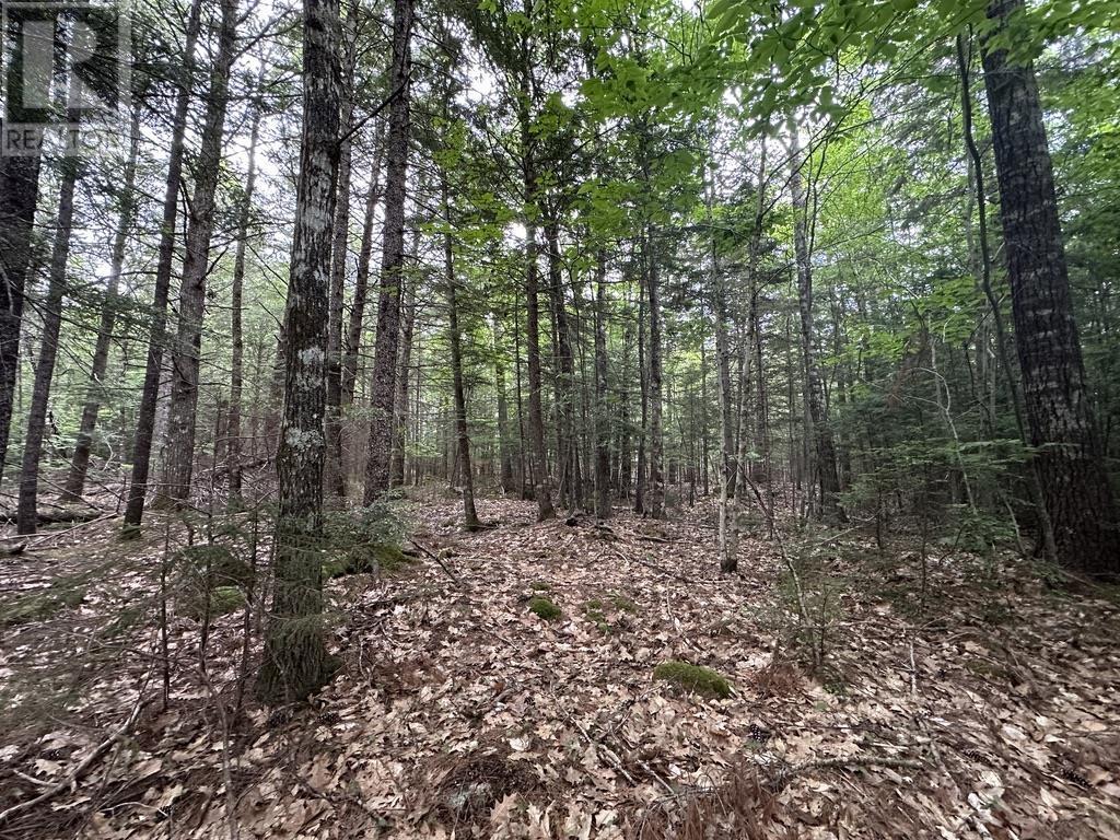 Lot 1 Wentzell Road, Baker Settlement, Nova Scotia  B4V 7J4 - Photo 19 - 202513367
