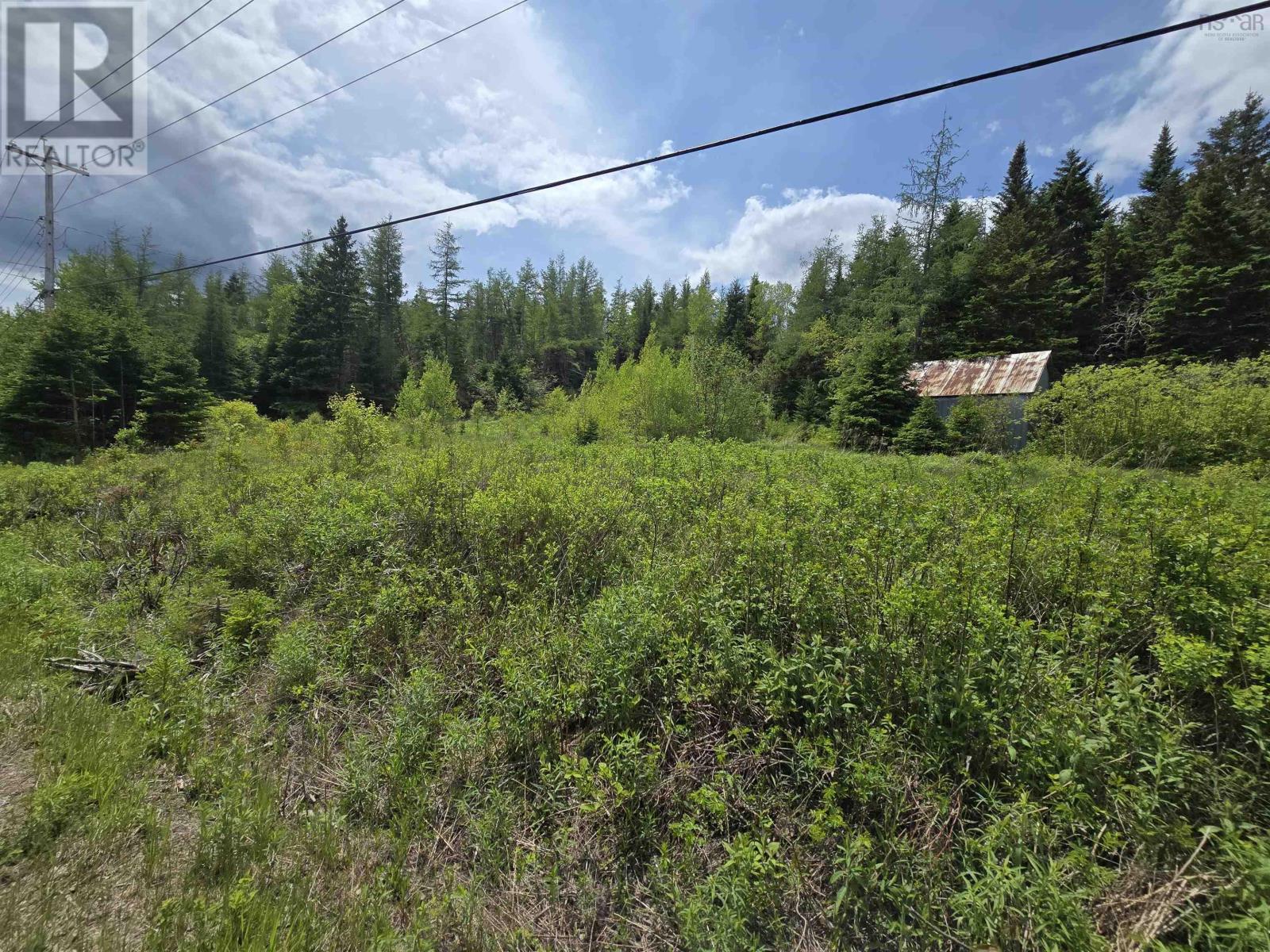 17987 Highway 316, Country Harbour, Nova Scotia  B0H 0B1 - Photo 3 - 202513447