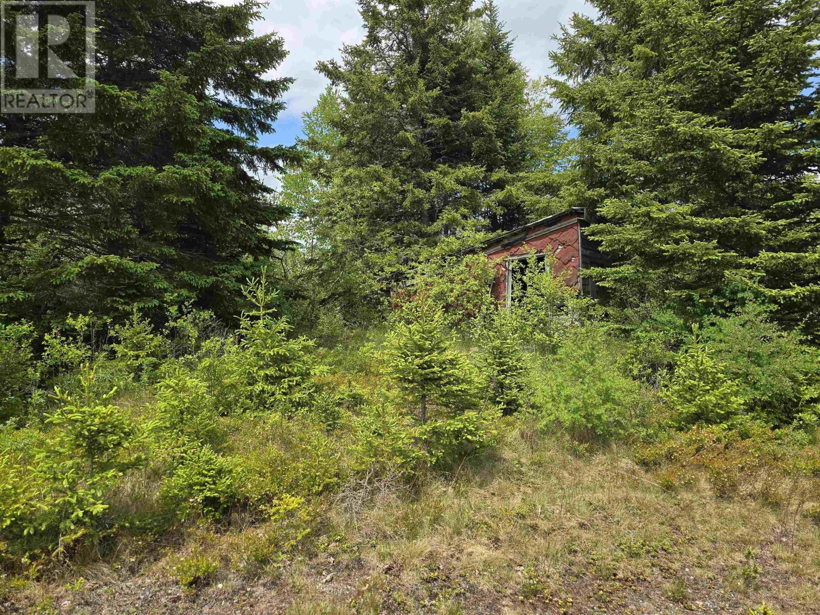 17987 Highway 316, Country Harbour, Nova Scotia  B0H 0B1 - Photo 4 - 202513447