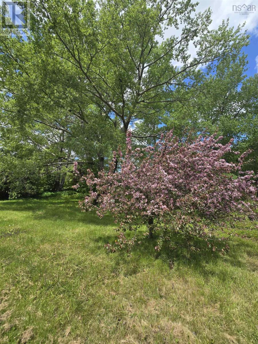 40 Broad St, Guysborough, Nova Scotia  B0H 1N0 - Photo 3 - 202513448