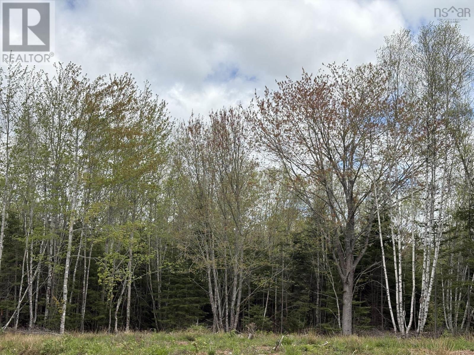 Lot 3 Highway 14, upper nine mile river, Nova Scotia