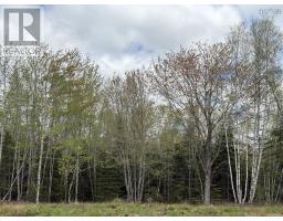 Lot 3 Highway 14, upper nine mile river, Nova Scotia