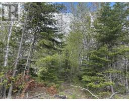 Lot 5 Highway 14, upper nine mile river, Nova Scotia