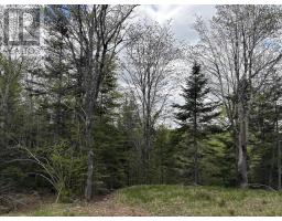 Lot 4 Highway 14, upper nine mile river, Nova Scotia