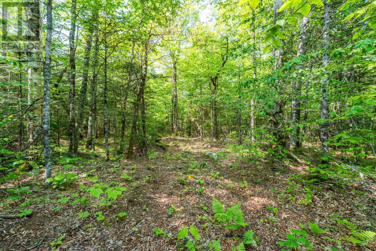 Lot 2 Chemin Theriault Point Road, Belliveaus Cove, Nova Scotia  B0W 1M0 - Photo 4 - 202513684
