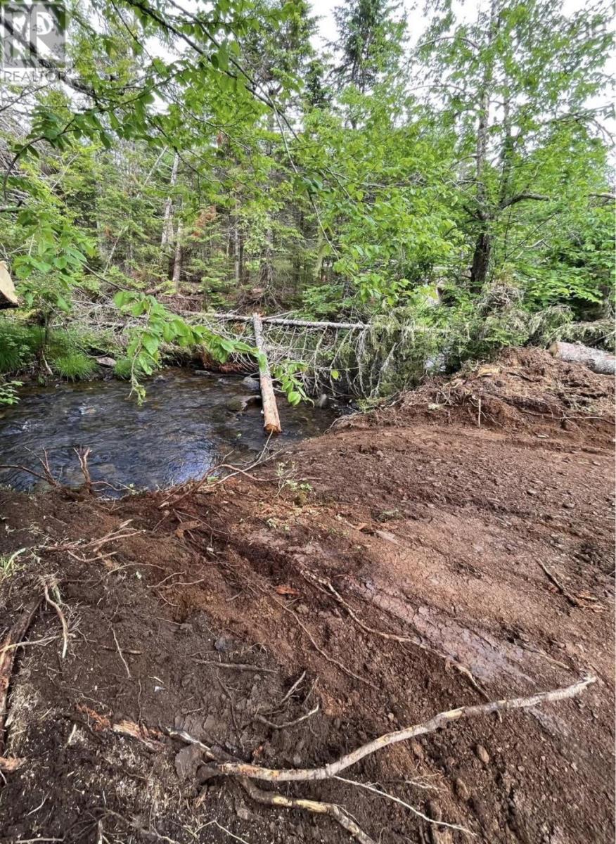 3775 Highway 311, Nuttby, Nova Scotia  B6L 6J1 - Photo 12 - 202513780